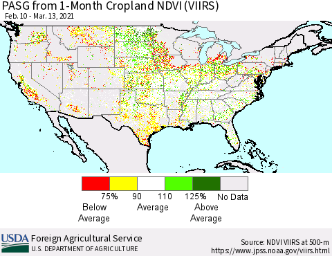 United States PASG from 1-Month Cropland NDVI (VIIRS) Thematic Map For 3/11/2021 - 3/20/2021