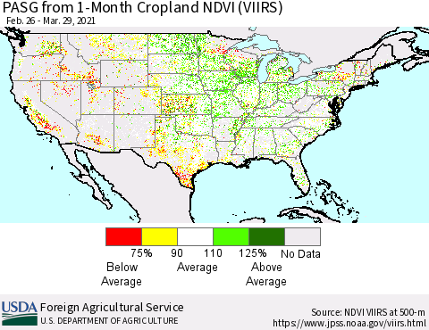 United States PASG from 1-Month Cropland NDVI (VIIRS) Thematic Map For 3/21/2021 - 3/31/2021