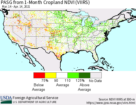 United States PASG from 1-Month Cropland NDVI (VIIRS) Thematic Map For 4/11/2021 - 4/20/2021