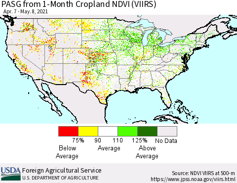 United States PASG from 1-Month Cropland NDVI (VIIRS) Thematic Map For 5/1/2021 - 5/10/2021