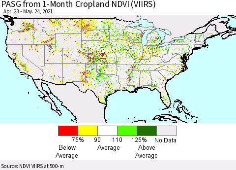 United States PASG from 1-Month Cropland NDVI (VIIRS) Thematic Map For 5/17/2021 - 5/24/2021