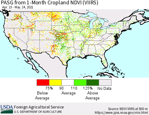 United States PASG from 1-Month Cropland NDVI (VIIRS) Thematic Map For 5/21/2021 - 5/31/2021