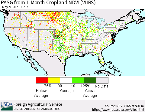 United States PASG from 1-Month Cropland NDVI (VIIRS) Thematic Map For 6/1/2021 - 6/10/2021