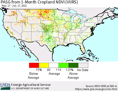 United States PASG from 1-Month Cropland NDVI (VIIRS) Thematic Map For 6/11/2021 - 6/20/2021