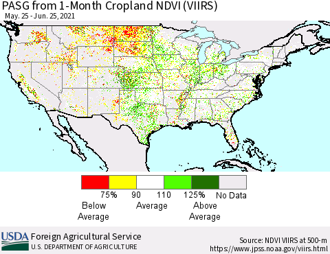 United States PASG from 1-Month Cropland NDVI (VIIRS) Thematic Map For 6/21/2021 - 6/30/2021