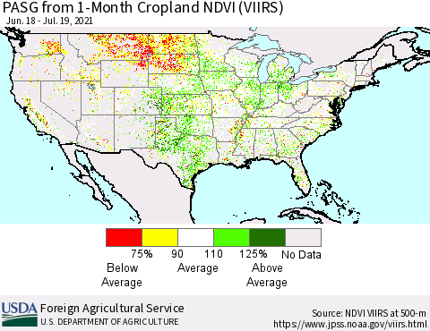 United States PASG from 1-Month Cropland NDVI (VIIRS) Thematic Map For 7/11/2021 - 7/20/2021