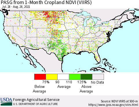 United States PASG from 1-Month Cropland NDVI (VIIRS) Thematic Map For 8/21/2021 - 8/31/2021