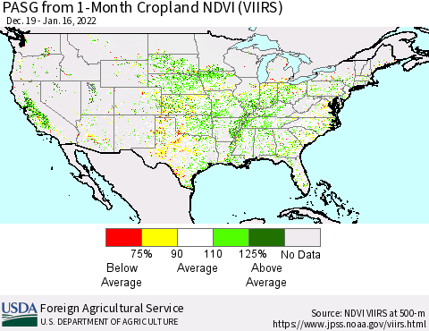 United States PASG from 1-Month Cropland NDVI (VIIRS) Thematic Map For 1/11/2022 - 1/20/2022