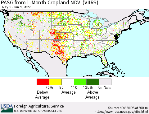 United States PASG from 1-Month Cropland NDVI (VIIRS) Thematic Map For 6/1/2022 - 6/10/2022