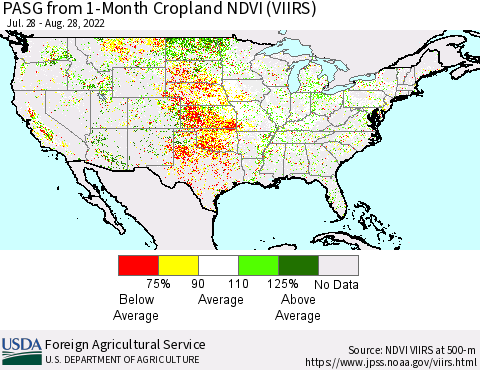 United States PASG from 1-Month Cropland NDVI (VIIRS) Thematic Map For 8/21/2022 - 8/31/2022
