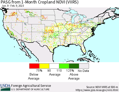United States PASG from 1-Month Cropland NDVI (VIIRS) Thematic Map For 2/1/2023 - 2/10/2023
