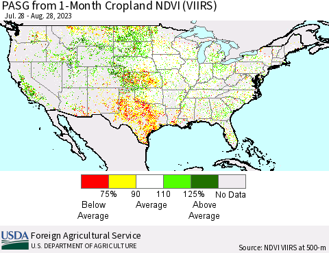 United States PASG from 1-Month Cropland NDVI (VIIRS) Thematic Map For 8/21/2023 - 8/31/2023