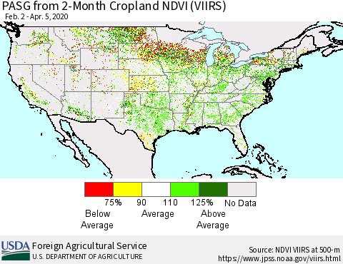 United States PASG from 2-Month Cropland NDVI (VIIRS) Thematic Map For 4/1/2020 - 4/10/2020