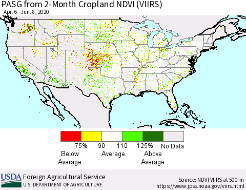 United States PASG from 2-Month Cropland NDVI (VIIRS) Thematic Map For 6/1/2020 - 6/10/2020