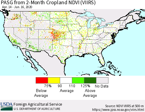 United States PASG from 2-Month Cropland NDVI (VIIRS) Thematic Map For 6/11/2020 - 6/20/2020