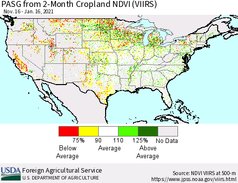 United States PASG from 2-Month Cropland NDVI (VIIRS) Thematic Map For 1/11/2021 - 1/20/2021