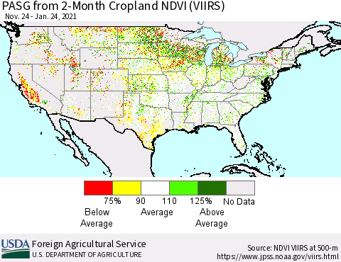 United States PASG from 2-Month Cropland NDVI (VIIRS) Thematic Map For 1/21/2021 - 1/31/2021