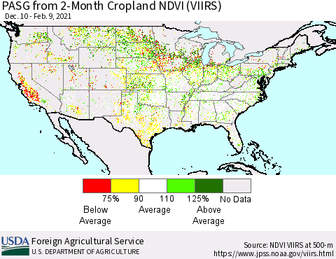 United States PASG from 2-Month Cropland NDVI (VIIRS) Thematic Map For 2/1/2021 - 2/10/2021