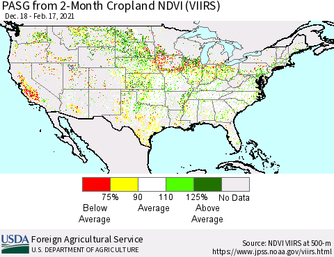 United States PASG from 2-Month Cropland NDVI (VIIRS) Thematic Map For 2/11/2021 - 2/20/2021