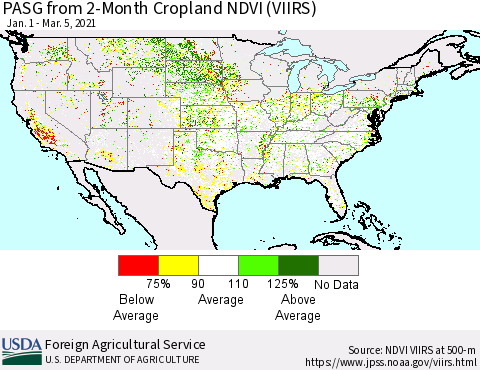United States PASG from 2-Month Cropland NDVI (VIIRS) Thematic Map For 3/1/2021 - 3/10/2021