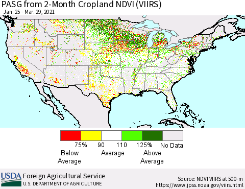 United States PASG from 2-Month Cropland NDVI (VIIRS) Thematic Map For 3/21/2021 - 3/31/2021
