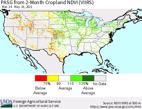United States PASG from 2-Month Cropland NDVI (VIIRS) Thematic Map For 5/11/2021 - 5/20/2021