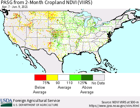 United States PASG from 2-Month Cropland NDVI (VIIRS) Thematic Map For 6/1/2021 - 6/10/2021