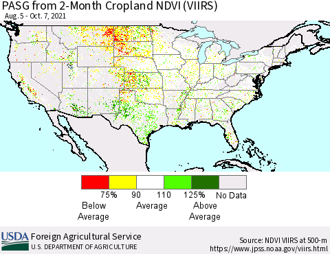 United States PASG from 2-Month Cropland NDVI (VIIRS) Thematic Map For 10/1/2021 - 10/10/2021