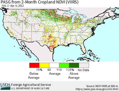 United States PASG from 2-Month Cropland NDVI (VIIRS) Thematic Map For 4/1/2022 - 4/10/2022
