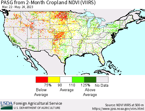 United States PASG from 2-Month Cropland NDVI (VIIRS) Thematic Map For 5/21/2023 - 5/31/2023