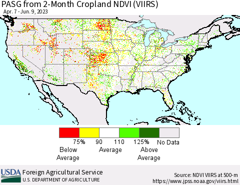United States PASG from 2-Month Cropland NDVI (VIIRS) Thematic Map For 6/1/2023 - 6/10/2023