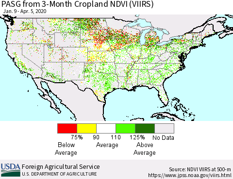 United States PASG from 3-Month Cropland NDVI (VIIRS) Thematic Map For 4/1/2020 - 4/10/2020