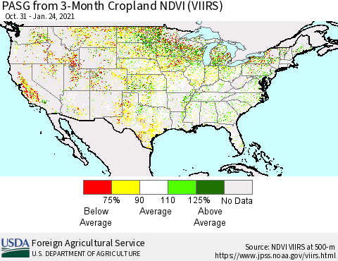 United States PASG from 3-Month Cropland NDVI (VIIRS) Thematic Map For 1/21/2021 - 1/31/2021