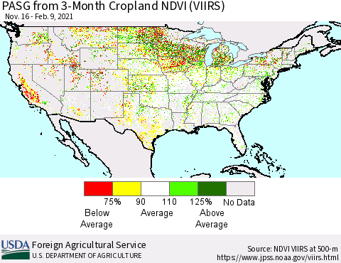United States PASG from 3-Month Cropland NDVI (VIIRS) Thematic Map For 2/1/2021 - 2/10/2021