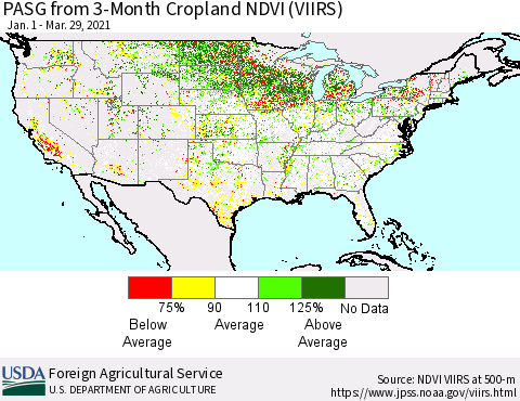 United States PASG from 3-Month Cropland NDVI (VIIRS) Thematic Map For 3/21/2021 - 3/31/2021