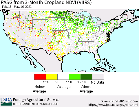 United States PASG from 3-Month Cropland NDVI (VIIRS) Thematic Map For 5/11/2021 - 5/20/2021