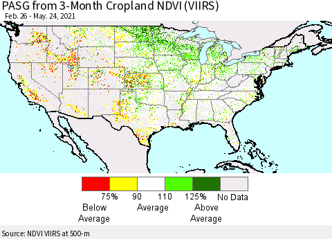 United States PASG from 3-Month Cropland NDVI (VIIRS) Thematic Map For 5/17/2021 - 5/24/2021