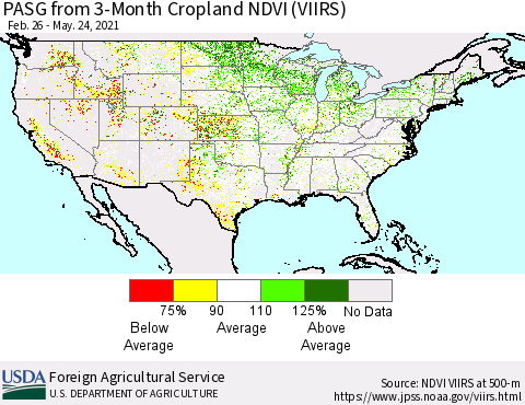 United States PASG from 3-Month Cropland NDVI (VIIRS) Thematic Map For 5/21/2021 - 5/31/2021