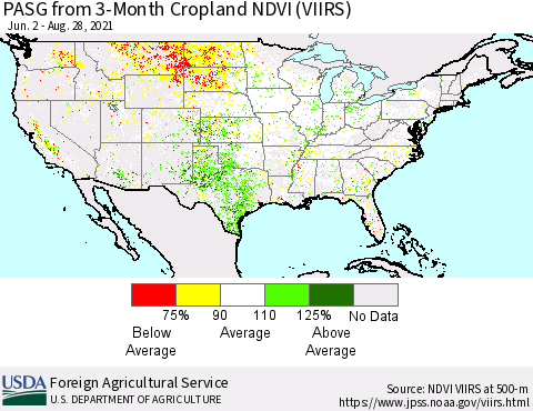 United States PASG from 3-Month Cropland NDVI (VIIRS) Thematic Map For 8/21/2021 - 8/31/2021