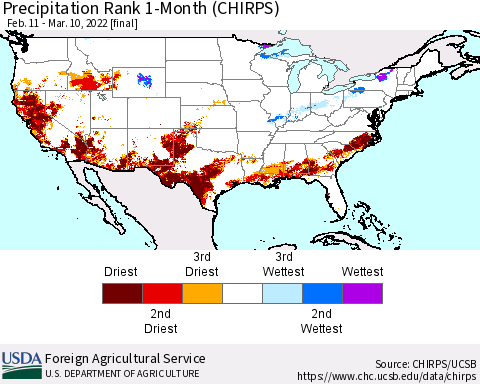United States Precipitation Rank since 1981, 1-Month (CHIRPS) Thematic Map For 2/11/2022 - 3/10/2022