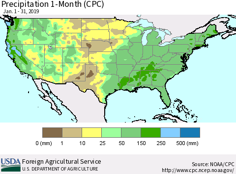 United States Precipitation 1-Month (CPC) Thematic Map For 1/1/2019 - 1/31/2019