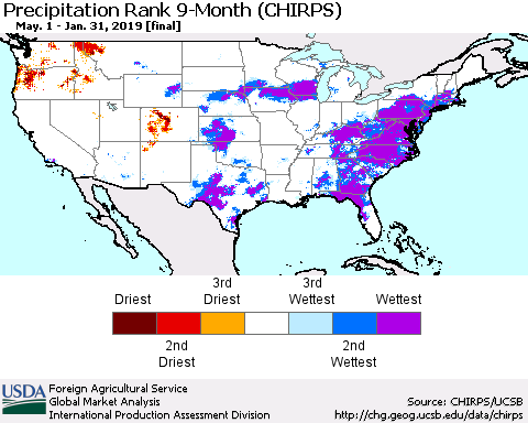 United States Precipitation Rank since 1981, 9-Month (CHIRPS) Thematic Map For 5/1/2018 - 1/31/2019