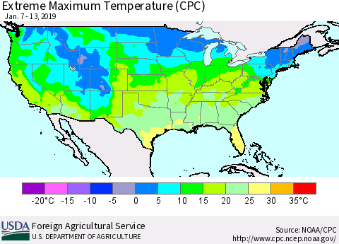 United States Maximum Daily Temperature (CPC) Thematic Map For 1/7/2019 - 1/13/2019