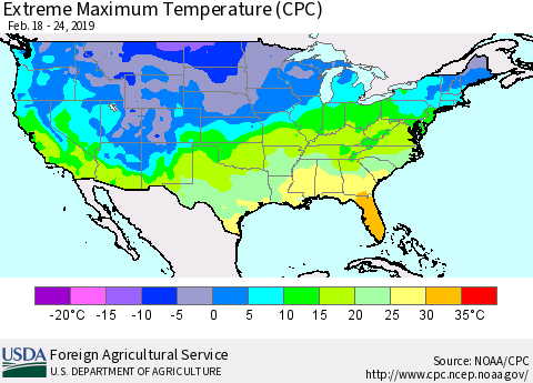 United States Maximum Daily Temperature (CPC) Thematic Map For 2/18/2019 - 2/24/2019