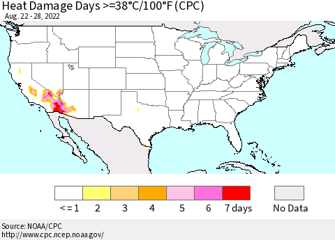United States Heat Damage Days >=38°C/100°F (CPC) Thematic Map For 8/22/2022 - 8/28/2022