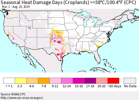 United States Seasonal Heat Damage Days (Croplands) >=38°C/100°F (CPC) Thematic Map For 3/1/2019 - 8/20/2019
