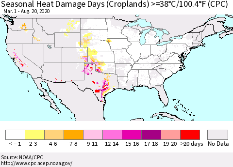 United States Seasonal Heat Damage Days (Croplands) >=38°C/100°F (CPC) Thematic Map For 3/1/2020 - 8/20/2020