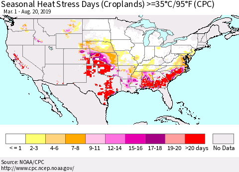 United States Seasonal Heat Stress Days (Croplands) >=35°C/95°F (CPC) Thematic Map For 3/1/2019 - 8/20/2019