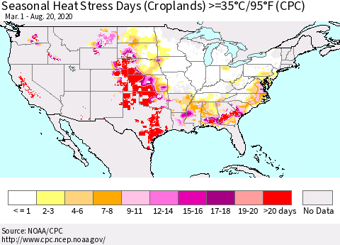 United States Seasonal Heat Stress Days (Croplands) >=35°C/95°F (CPC) Thematic Map For 3/1/2020 - 8/20/2020