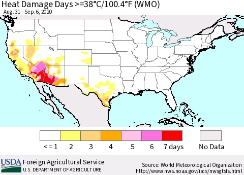 United States Heat Damage Days >=38°C/100.4°F (WMO) Thematic Map For 8/31/2020 - 9/6/2020